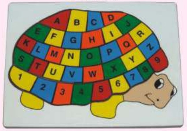 Alphabet on Tortoise