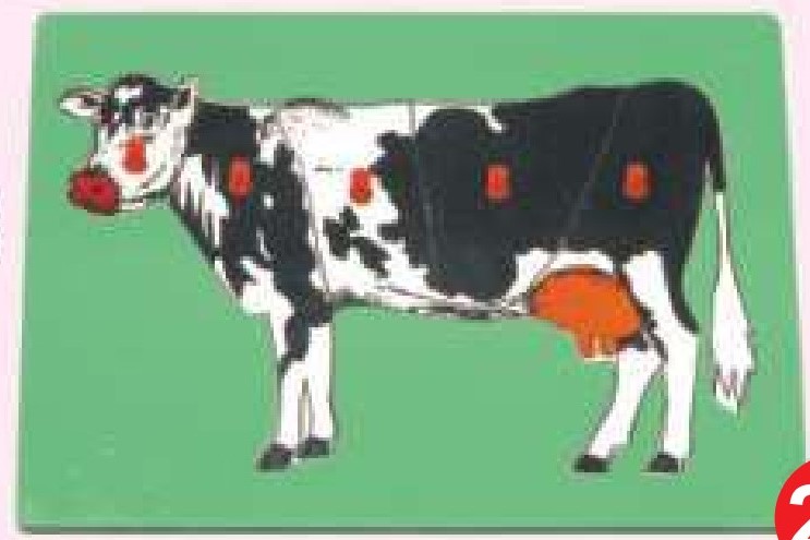 INSET TRAY PUZZLES  BIG WITH KNOB  Cow