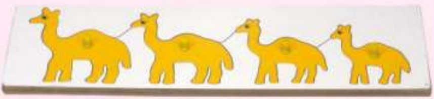 SIZE & SERIATION  Camel