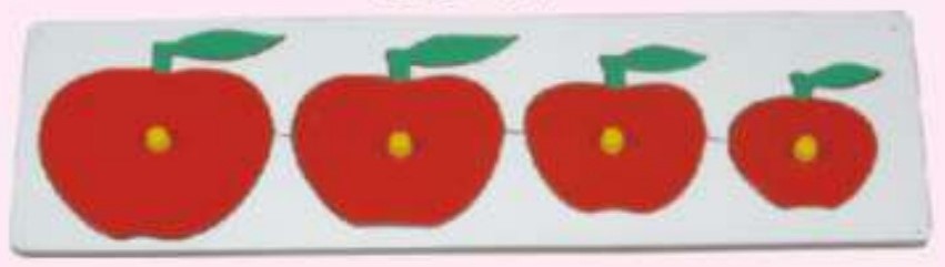 SIZE & SERIATION  Apple