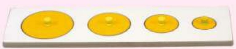 SIZE & SERIATION  Circle