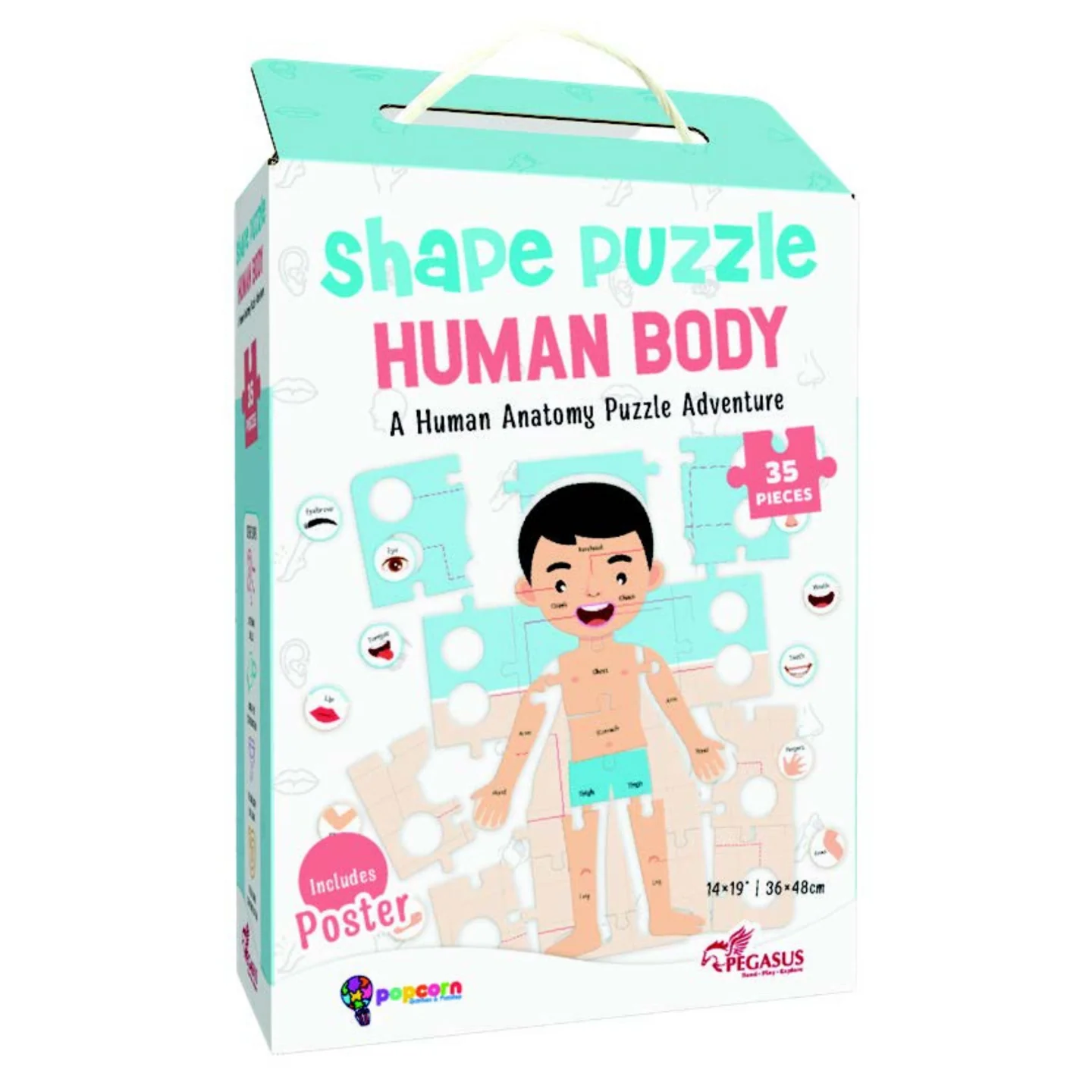 Human Body – SHAPE PUZZLE